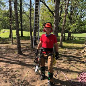 Brady's Tree Service