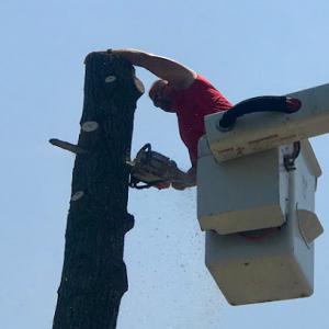 Keilman's Tree Service