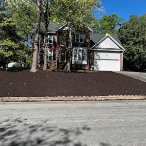 C & E Tree & Landscaping Service