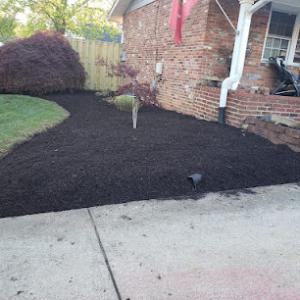 Mario's Tree Service