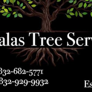 Ayalas Tree Service