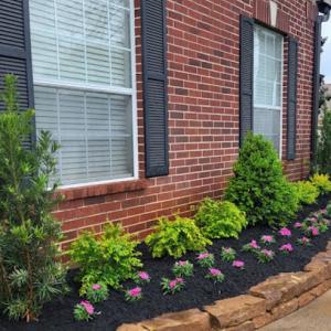 Mercado's Lawn & Landscape & Tree service