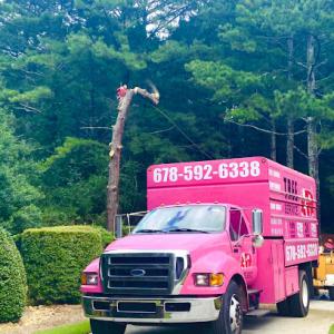 A&R Tree Service