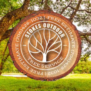 Stokes outdoor tree service