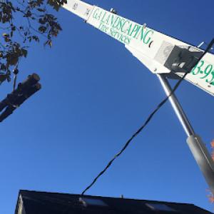 GA Tree Service