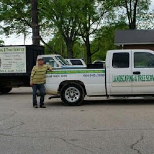 Mario Tree Service & Stump Grinding