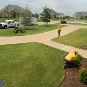 The Grounds Guys of Davenport, Fl