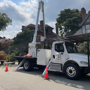 Tripoli Tree Care