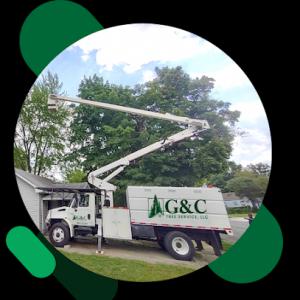 G&C Tree Service