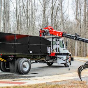 American Tree Dayton