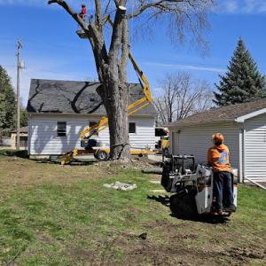 EPIC Tree Care of Green Bay