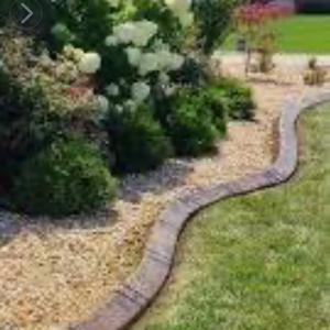 🇺🇸Cs Lawn care tree removal