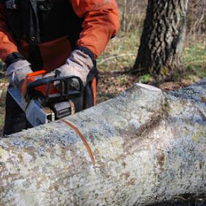 Elgin Tree Service & Snow Plowing