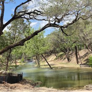 Dos Reyes Tree Service