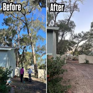 Rise & Grind Tree Solutions