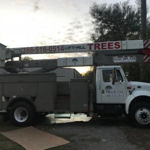 Arborist Tree Experts