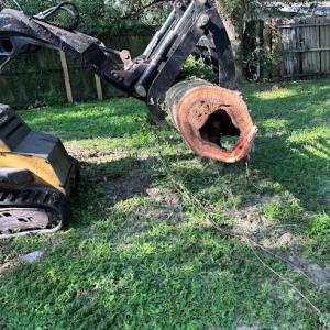 Munson Land & Tree Services