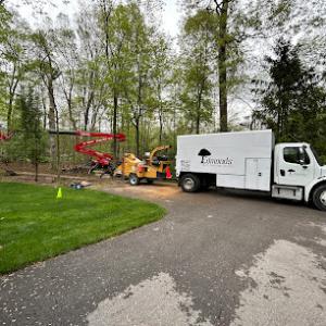 Edmonds Tree & Landscape Service