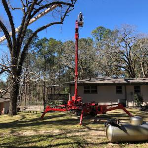 Family Land & Tree Service