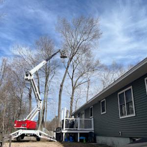 Tip Top Tree Service