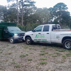 All Points Tree Services