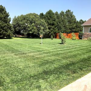 Juárez lawn & landscaping