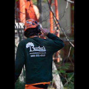Burke's Tree Service