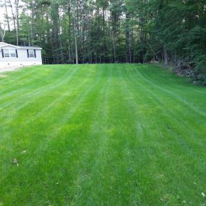 We Dig It Excavating & Trucking