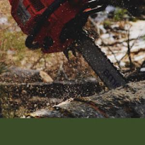 Sawtooth Arbor Supply & Tree Service