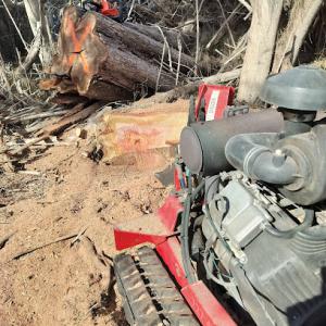 Stump Removal Near Me