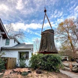 Higher Ground Tree Service