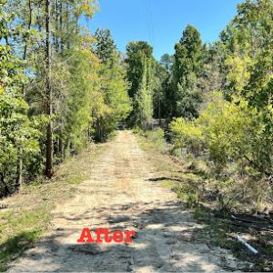 All American Land Management