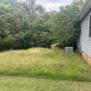 Carolina Tree Service