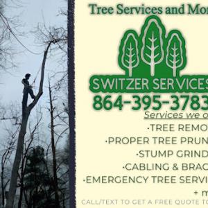 Switzer Services