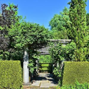 Wenatchee Tree Services