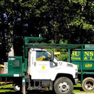 Sunshine Tree & Landscape