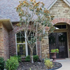 Serna lawn care & landscaping & tree service