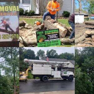 Mp Tree Services