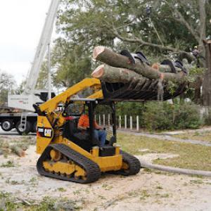 Branch Land & Tree Service