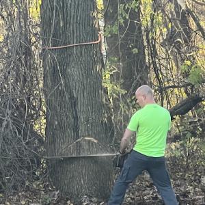 AJ's Tree & Excavation services