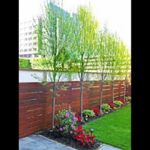 Hurricane Landscaping & Tree Trimming