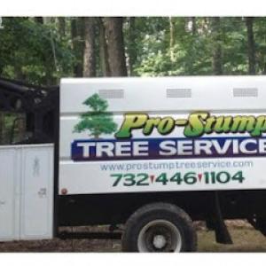 Pro-Stump Tree Service
