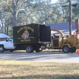 Beaver Tree Service