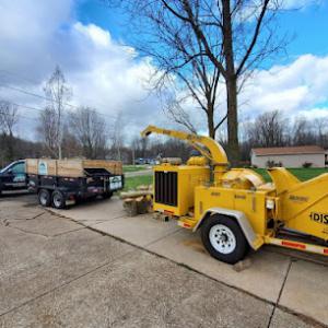 Viktor's Tree Service