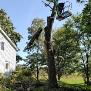 J.J & Sons Quality Lawn Care