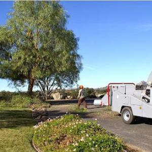 South Coast Tree Service