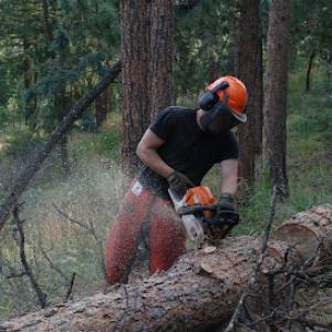 Twin Timbers Tree Service