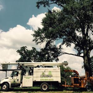 Monster Tree Service of Peachtree