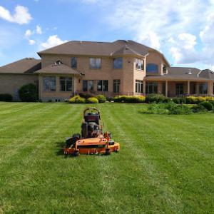 Sanchez lawn service & landscaping