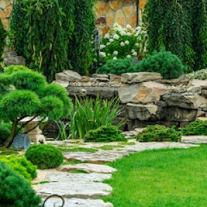 Brockman Tree & Lawn Care